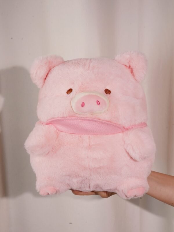 MOMO - Image 6