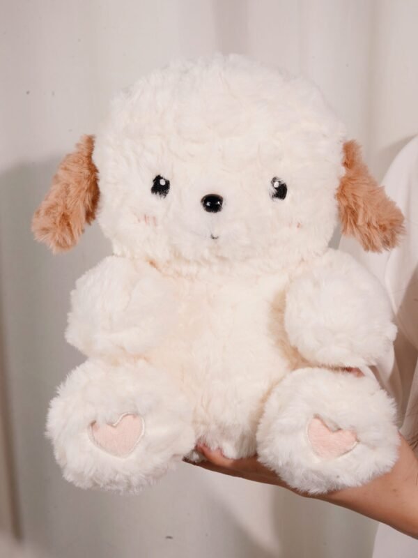 MOMO - Image 3